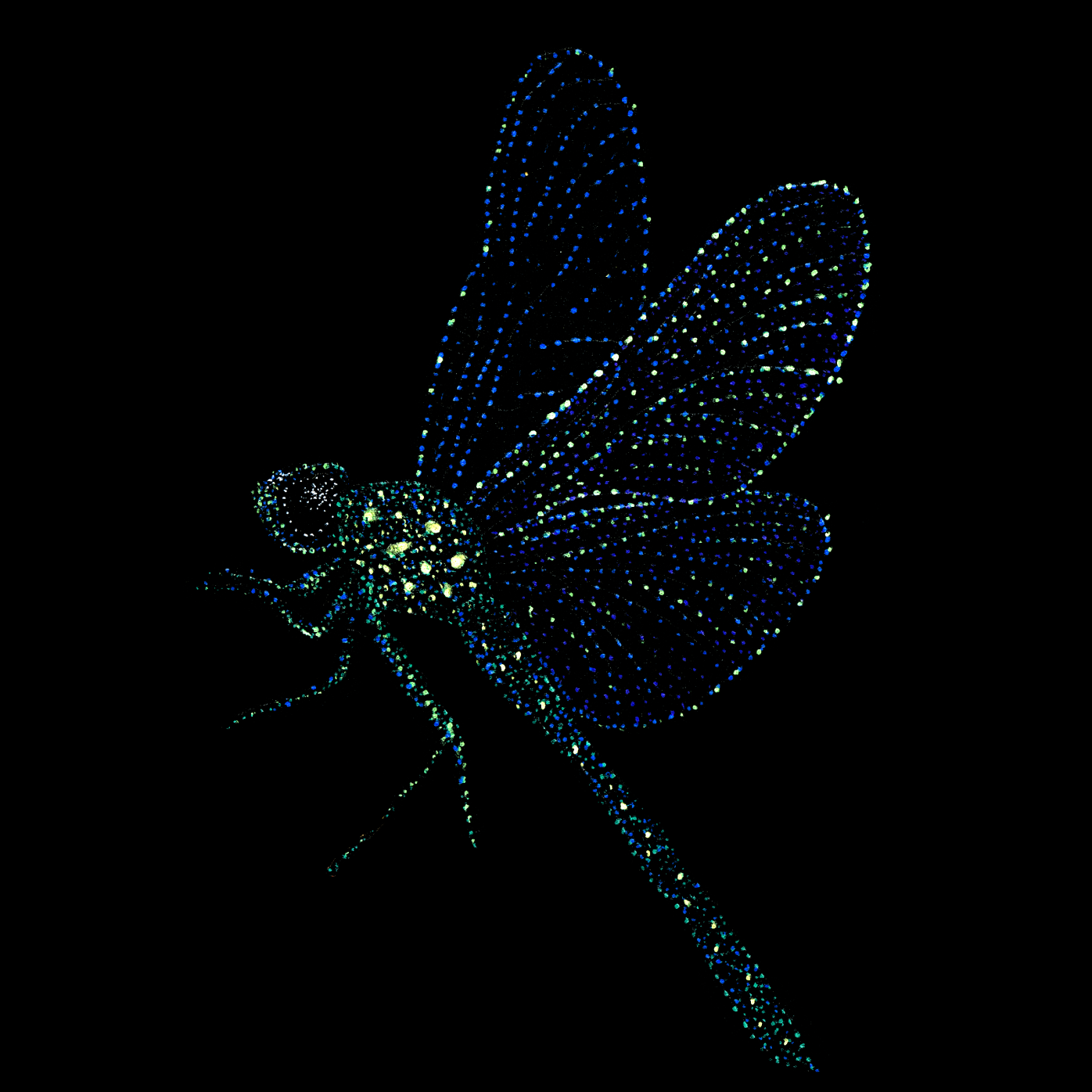 Dragonfly tshirt with a dotted glittery texture on a black background