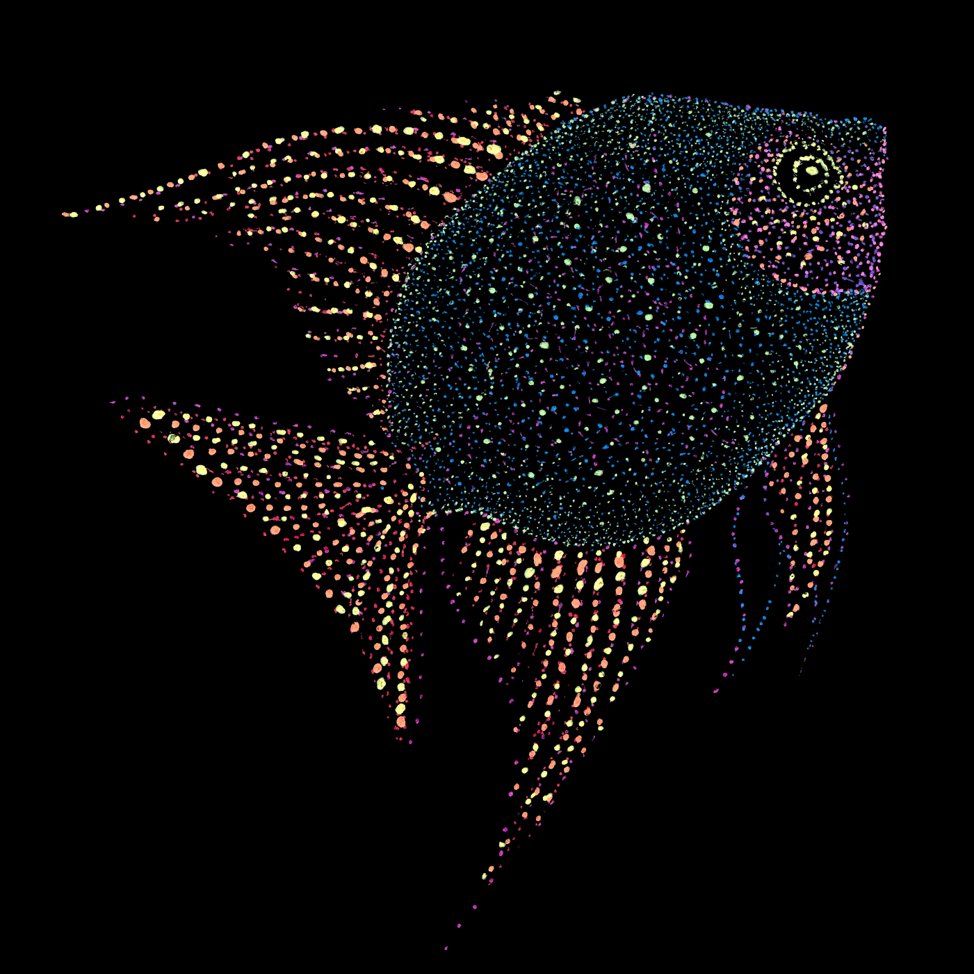 Fish Tshirt Under Water Scuba