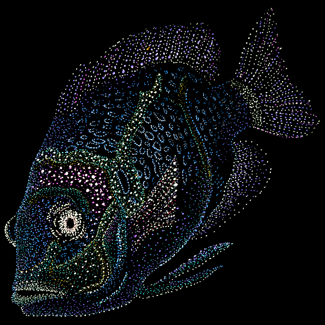 Jin-fish-psychedelic-tropical-scuba-animal-underwater-art-clothing-tshirt-goft-art-print