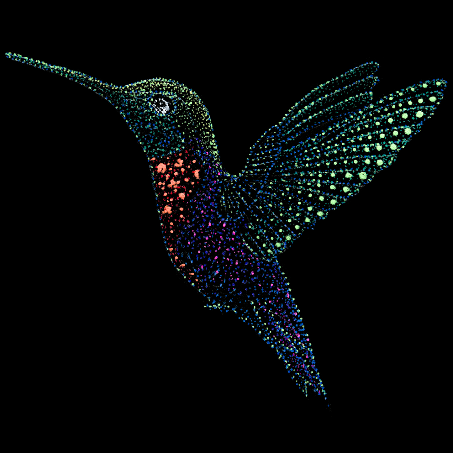 Colorful hummingbird design on a black tshirt