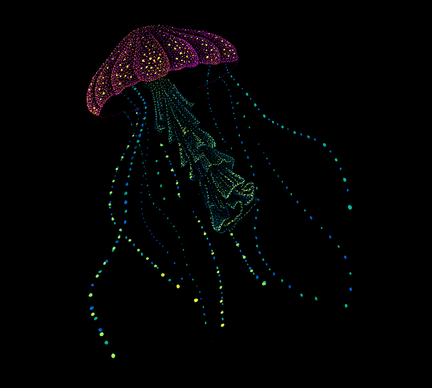 Colorful jellyfish tshirt on a black background
