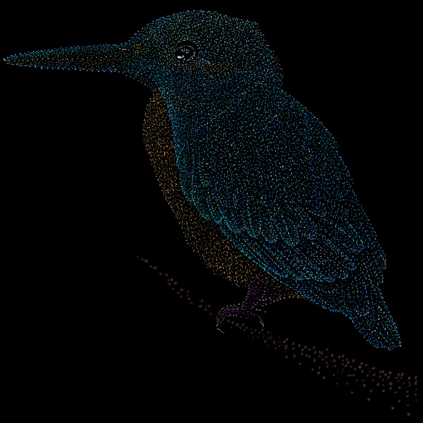 kingfisher-2-psychedelic-tropical-scuba-animal-underwater-art-clothing-tshirt-goft-art-print