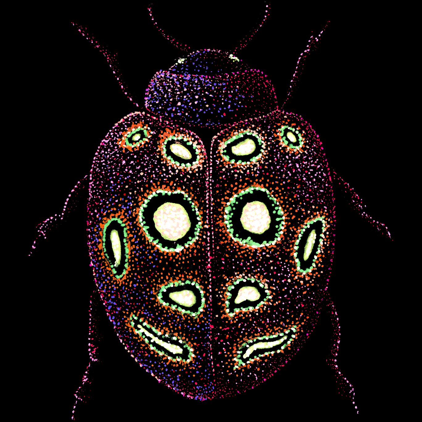 ladybug-mihkel--psychedelic-tropical-scuba-animal-underwater-art-clothing-tshirt-goft-art-print