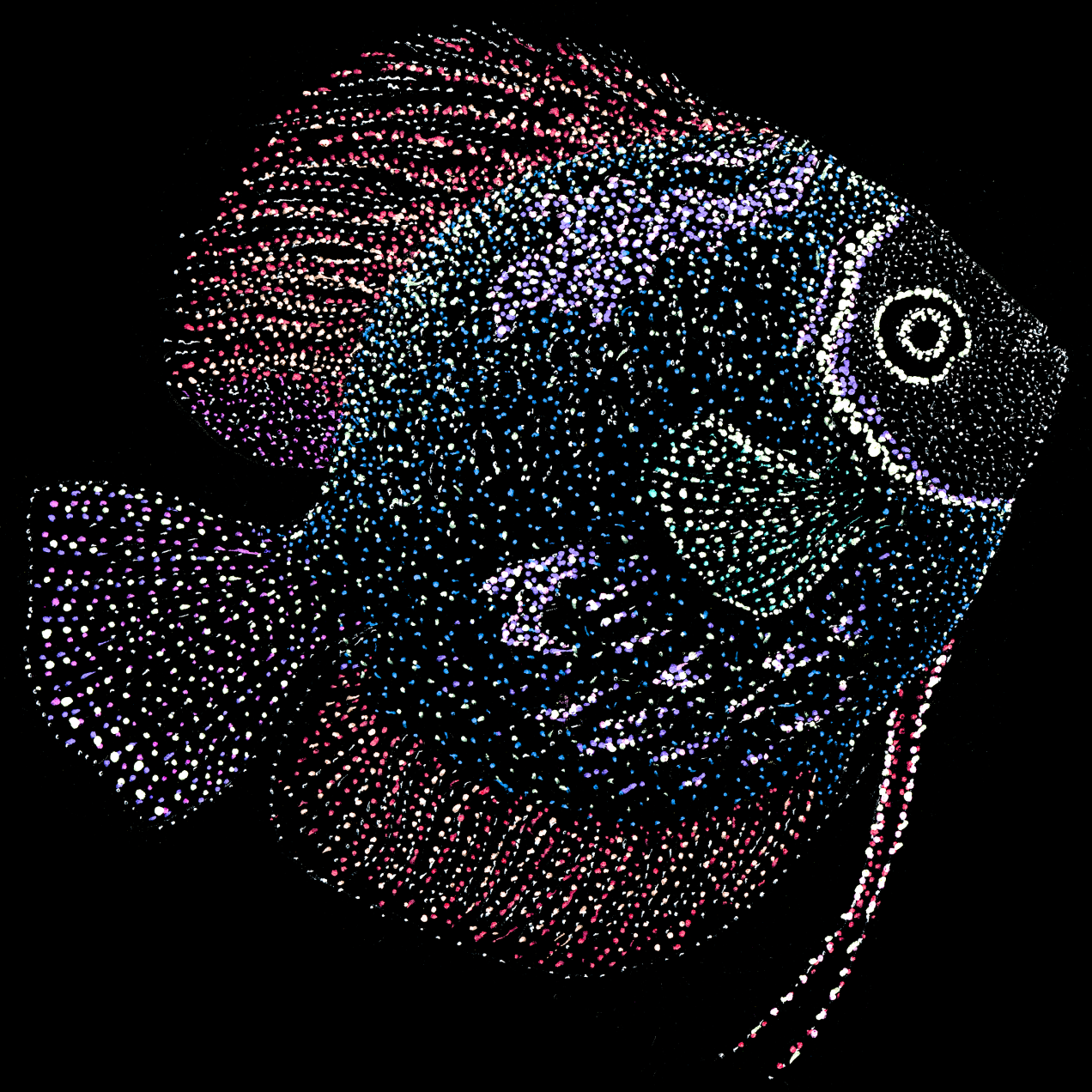 martin-fish-psychedelic-tropical-scuba-animal-underwater-art-clothing-tshirt-goft-art-print