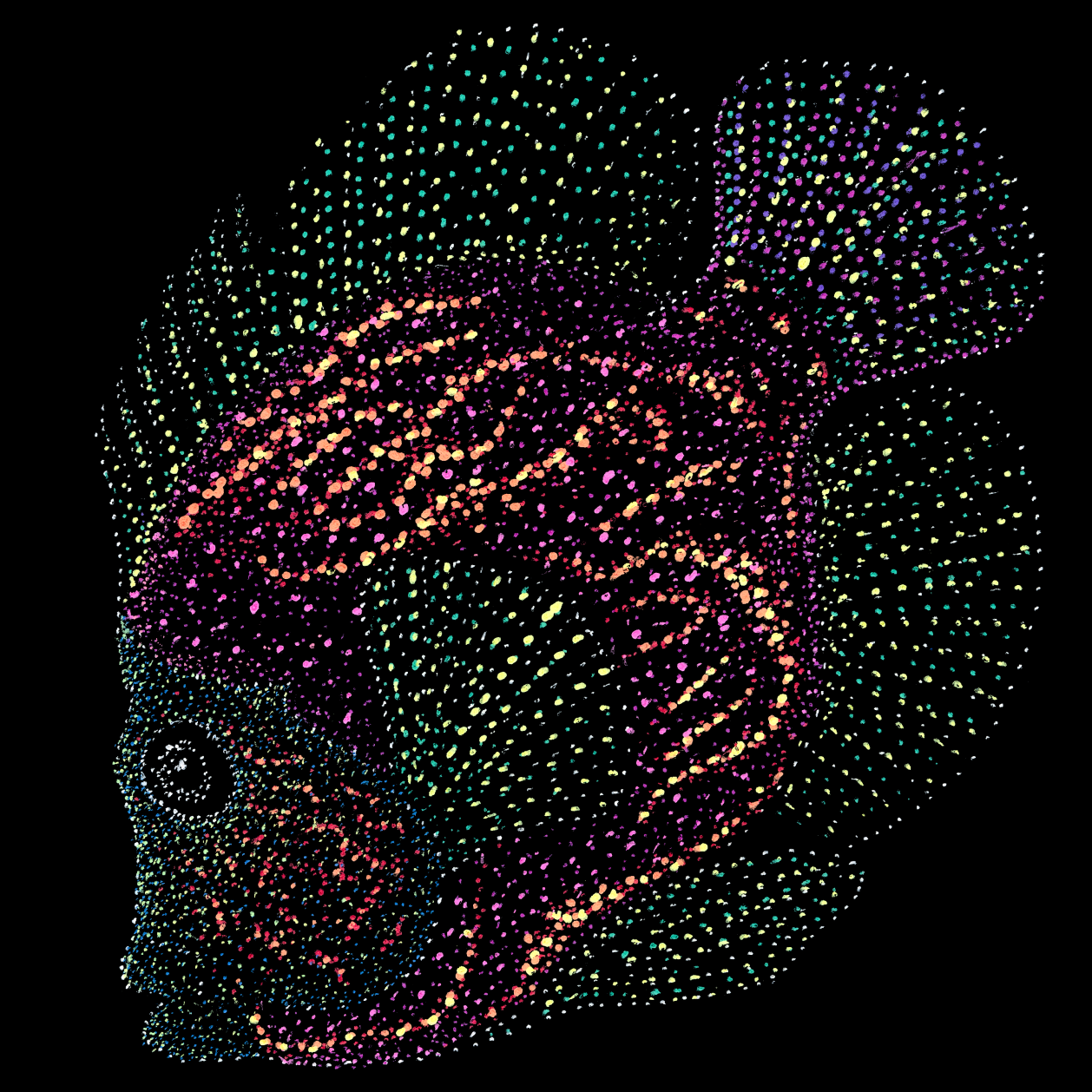 oliver-psychedelicscuba-animal-underwater-art-clothing-tshirt-goft-art-print