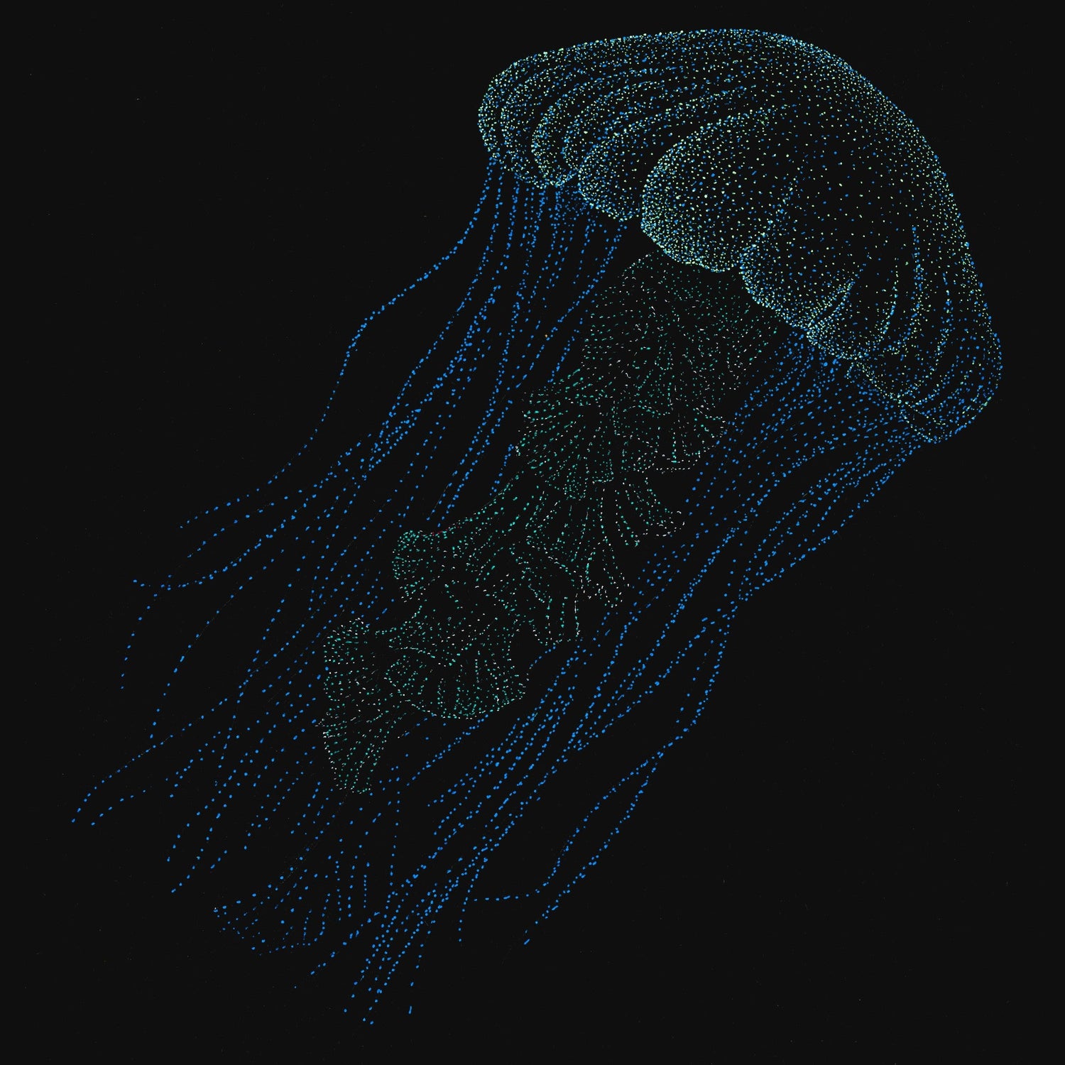 Underwater Magic🐟🐠