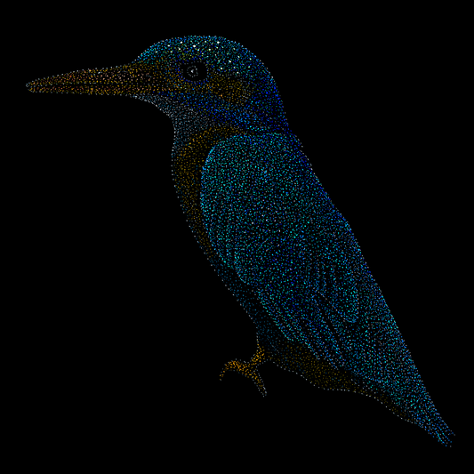 Amrit the Kingfisher