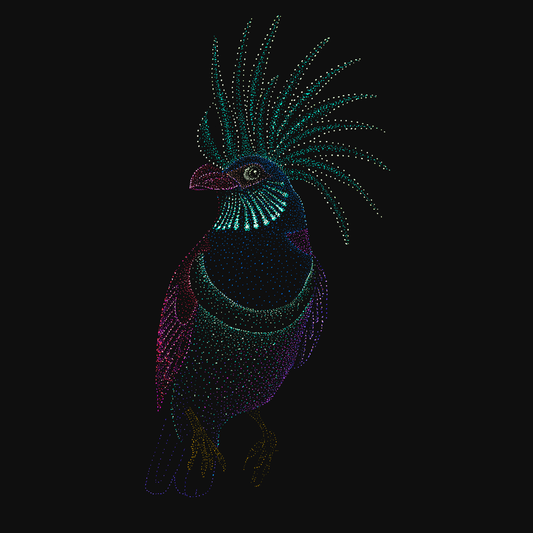 clothing-apparel-cotton-aurora-bird