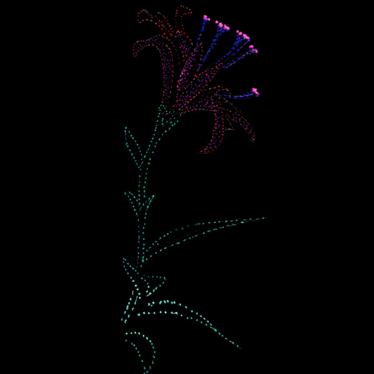 Unisex T-shirt: Lisu's flower, Plants, Jindots, 2025