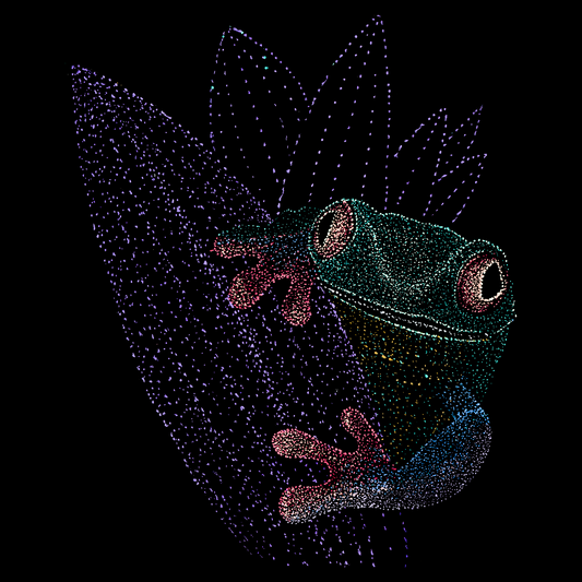 Nirav the Wise Frog