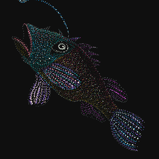 Shahbaz the Angler Fish