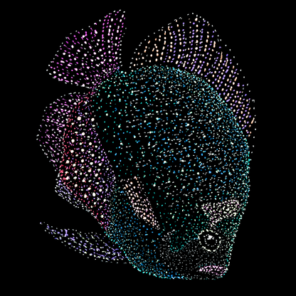 Vidushi's Fish