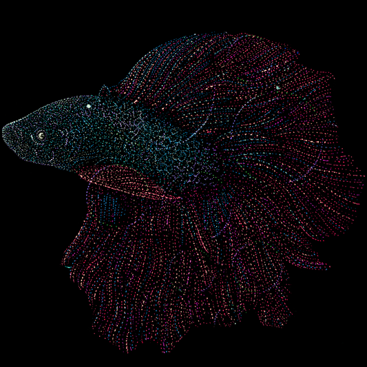 beta-betta-fish-psychedelic-tropical-scuba-animal-underwater-art-clothing-tshirt-goft-art-print