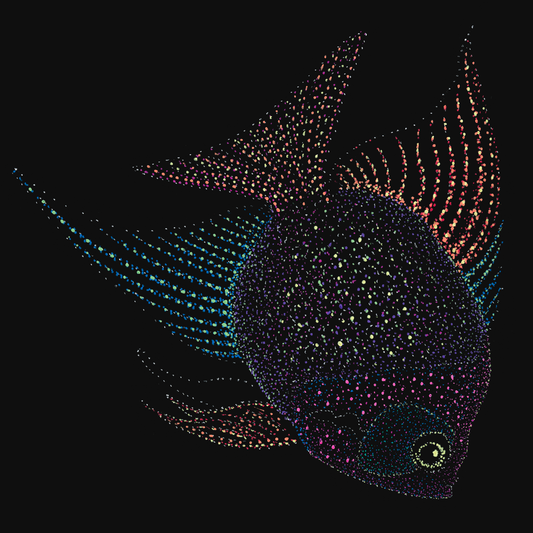 A fish called Curiosity