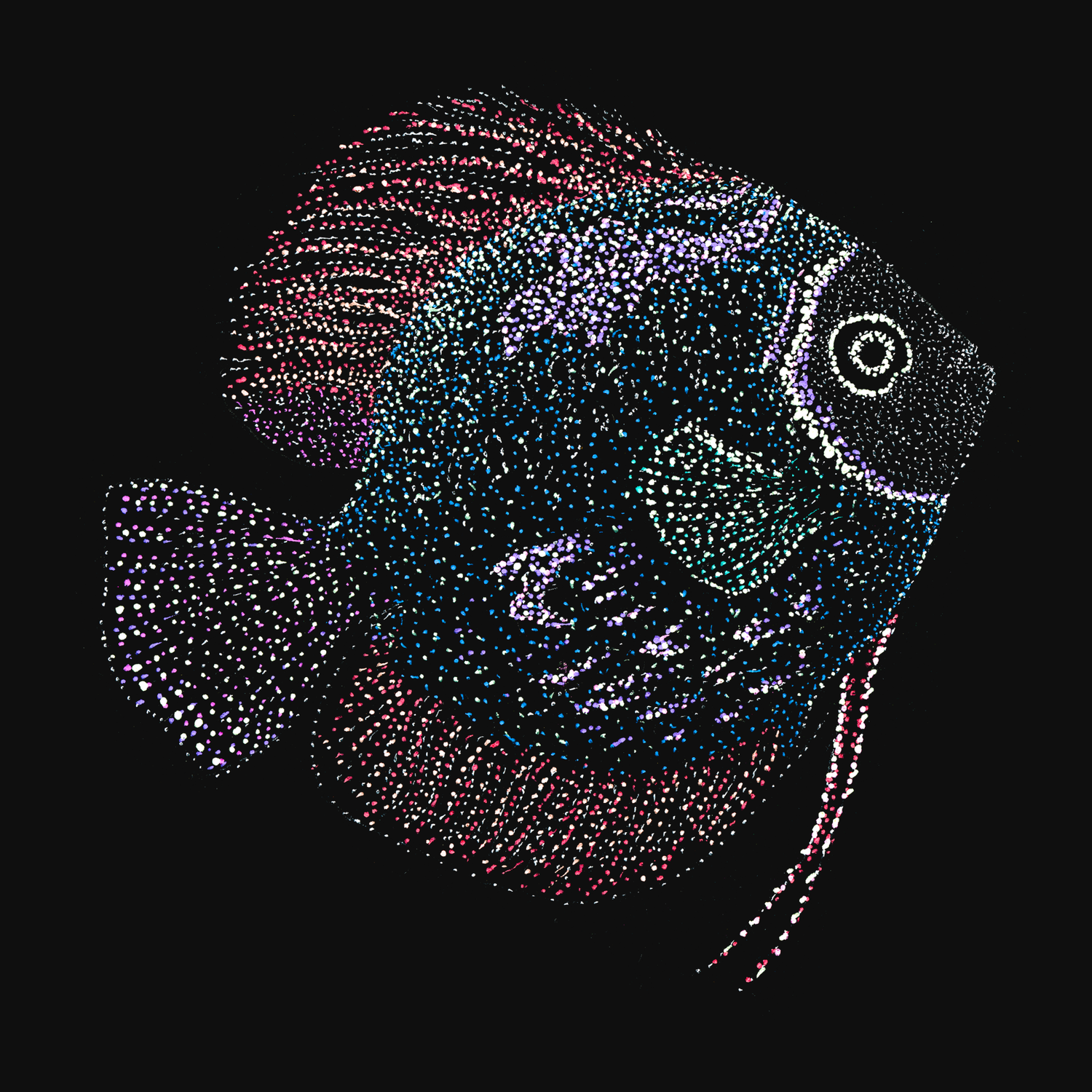 clothing-apparel-cotton-martin-fish