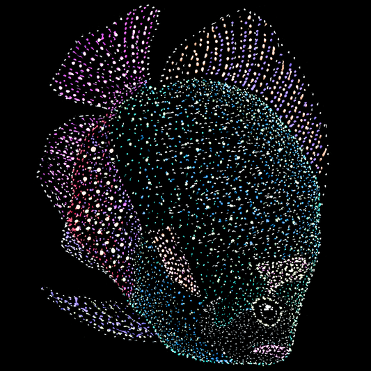 Unisex T-shirt: Vipul the Curious Fish, Underwater, Jindots, 2025