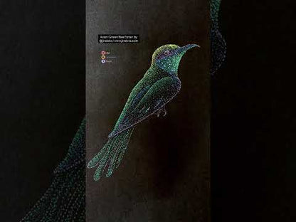 Kadri the Green Asian Bee Eater