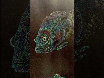 My name is Jin Fish